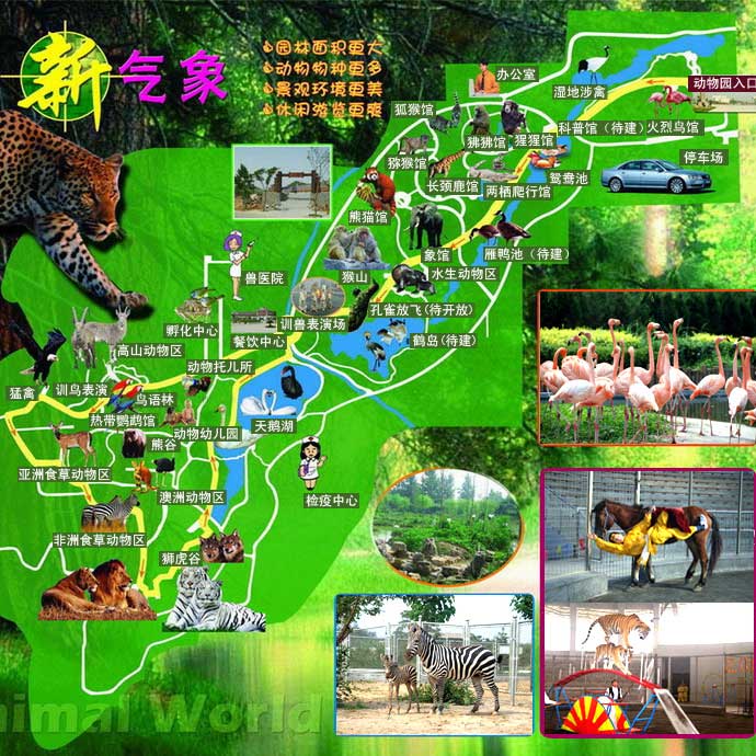 You zoo porn in Shijianzhuang